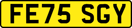 FE75SGY