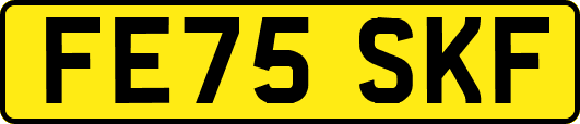 FE75SKF