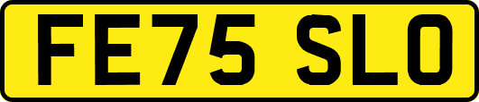 FE75SLO
