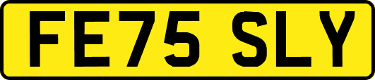 FE75SLY
