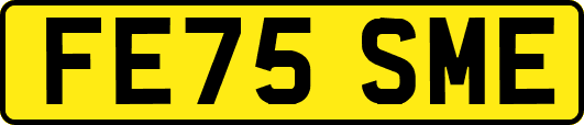 FE75SME