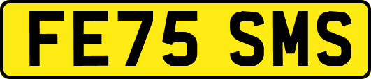 FE75SMS