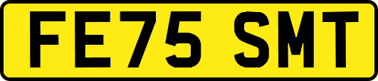 FE75SMT