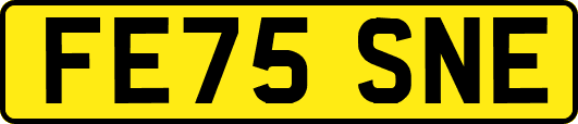 FE75SNE