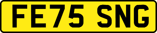 FE75SNG