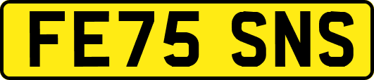 FE75SNS