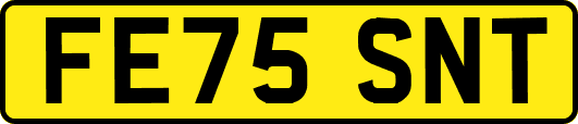FE75SNT