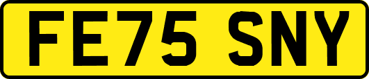 FE75SNY