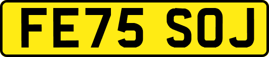 FE75SOJ