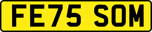 FE75SOM