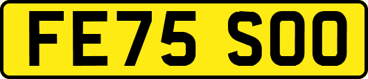 FE75SOO