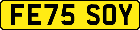 FE75SOY