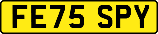 FE75SPY