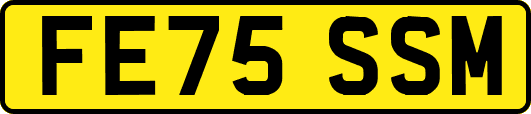 FE75SSM