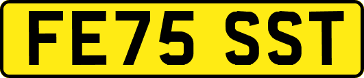 FE75SST