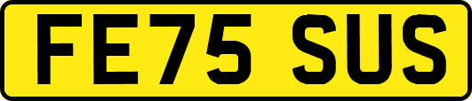 FE75SUS