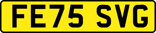 FE75SVG
