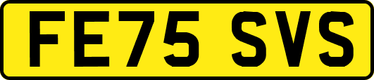 FE75SVS