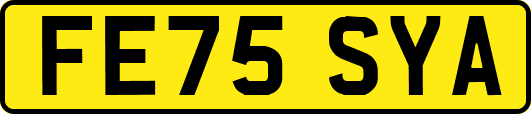 FE75SYA