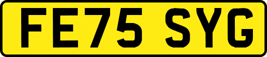 FE75SYG