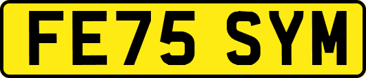 FE75SYM
