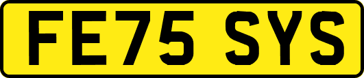 FE75SYS