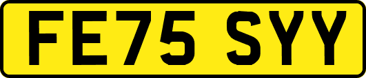 FE75SYY