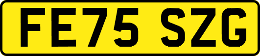 FE75SZG