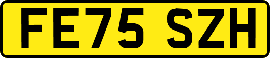 FE75SZH