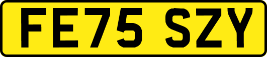 FE75SZY