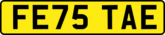 FE75TAE