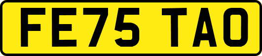 FE75TAO