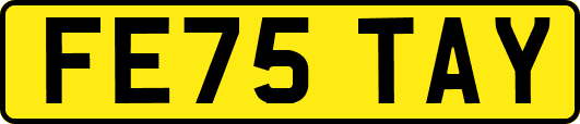 FE75TAY