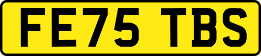 FE75TBS