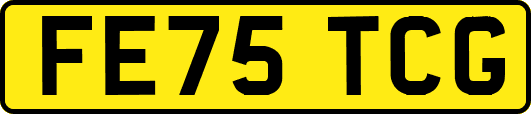 FE75TCG