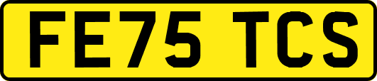 FE75TCS
