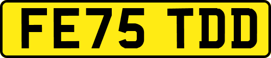 FE75TDD
