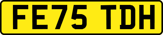 FE75TDH