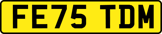 FE75TDM