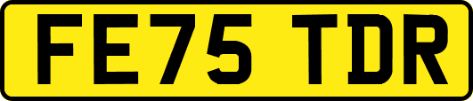 FE75TDR