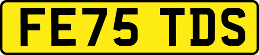 FE75TDS