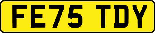 FE75TDY