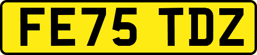 FE75TDZ