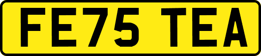 FE75TEA