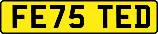 FE75TED