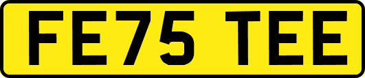 FE75TEE