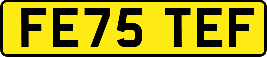 FE75TEF
