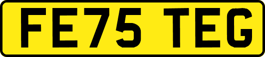 FE75TEG