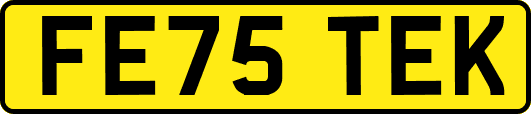 FE75TEK