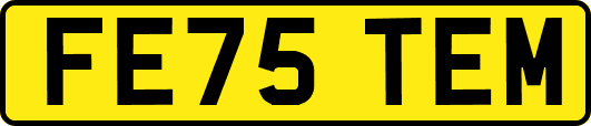 FE75TEM
